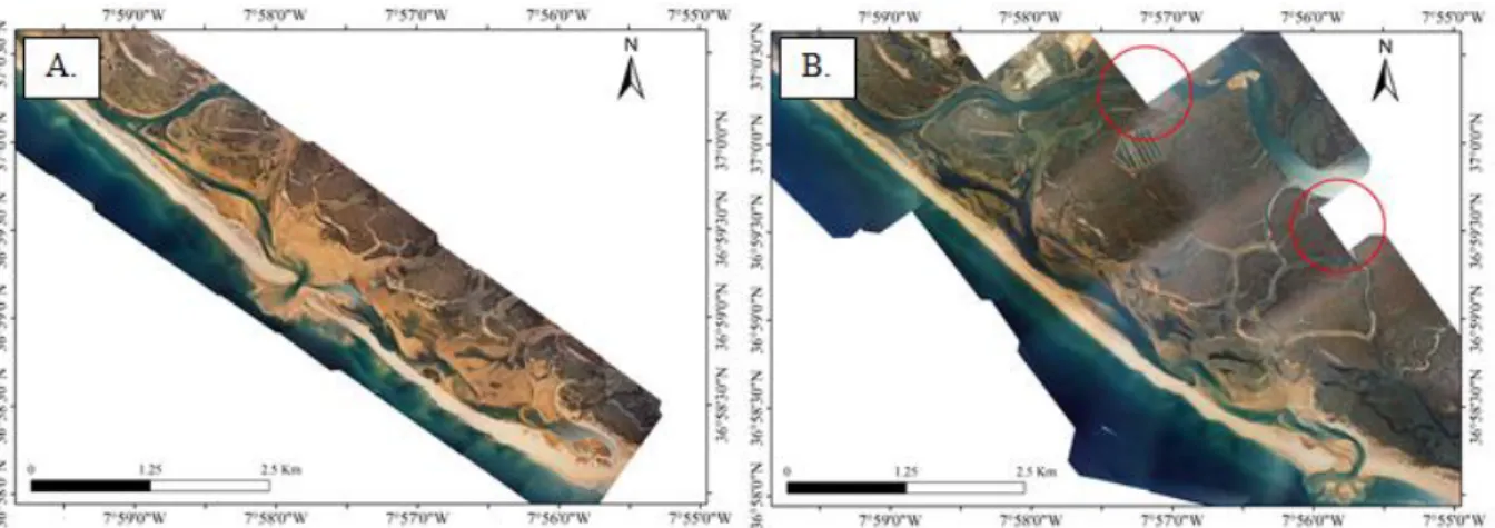 Figure 2.4- Examples of flights with partial aerial coverage of the study area. (A) Flight of 2001  representative of flights that only have coverage on the barrier islands and partial part of the  Salt Marsh under study; (B) Flight of 1996, red circles in