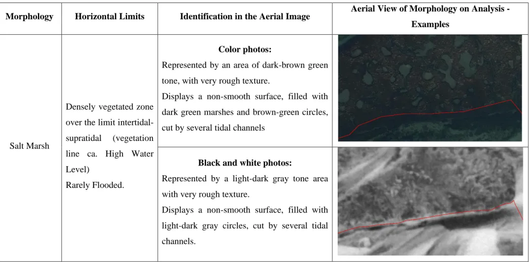 Table 2.2 - Characterization of the diverse morphologies present in the study area. Description of the spatial limits and presence of vegetation,  identification process of the morphology in the aerial images, and examples of the respective morphologies in
