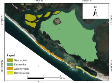 Figure  2.5  -  Representation  of  the  different  sections  for  the  Salt  Marsh  and  Barrier  morphologies, image from the flight of 2014