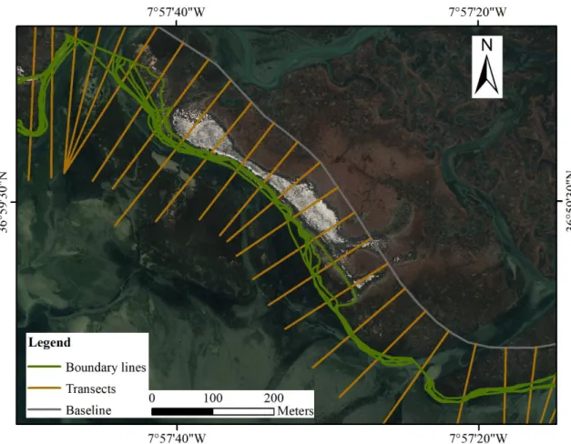 Figure 2.6 - Flight of 2014 with the representation of the baseline and transects created to apply  on the shorelines to calculate the rate-of-change