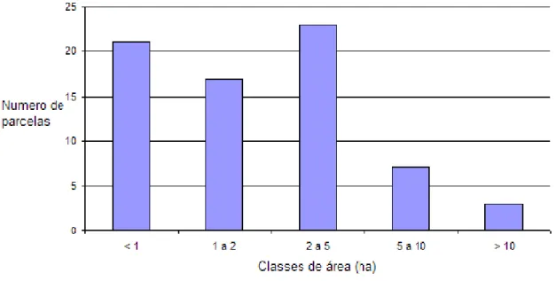 Figura 16 – Distribuição de frequências das parcelas amostradas, por classes de área (ha).