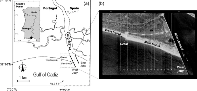 Figure 1. a) General location map of the study area; the dashed rectangle indicates the location of the maps  presented in Figures 2 and 3; b) positions of the transects (1 to 17) selected to determine the temporal  evolution of the high water line along t