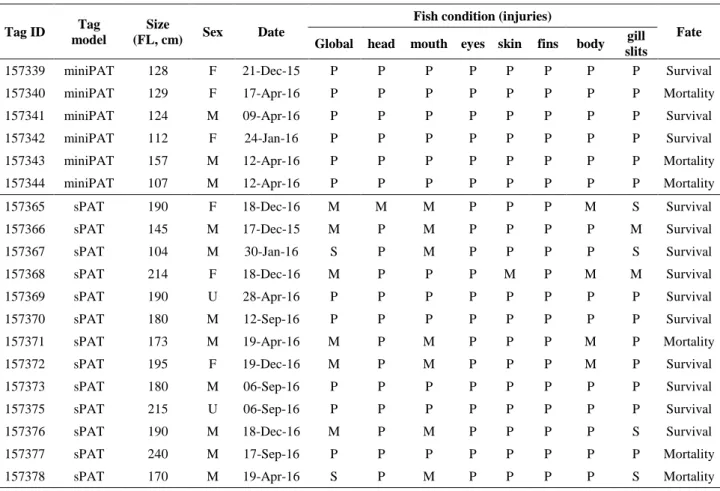 Table 5. Details of the miniPATs and sPATs deployed and with data reported that can be used to infer on post- post-release mortality