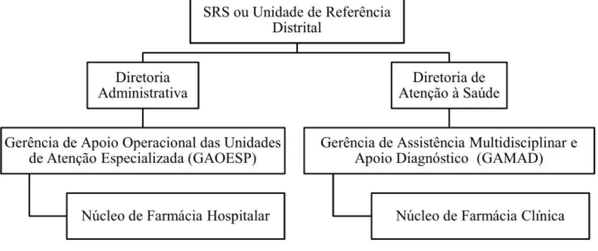 Figura  3  –  Organograma  resumido  das  SRS  com  referência  aos  Núcleos  de  Farmácia  Hospitalar e Clínica