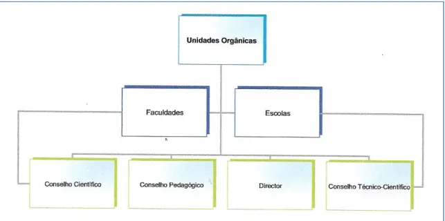 Figura 2.4 - Organigrama das Unidades Orgânicas da UAlg 