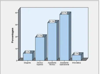 Gráfico 3.3 – Função desempenhada 