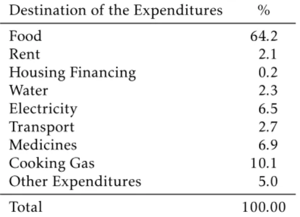 Table 5: Destination of the Expenditures of households in the database