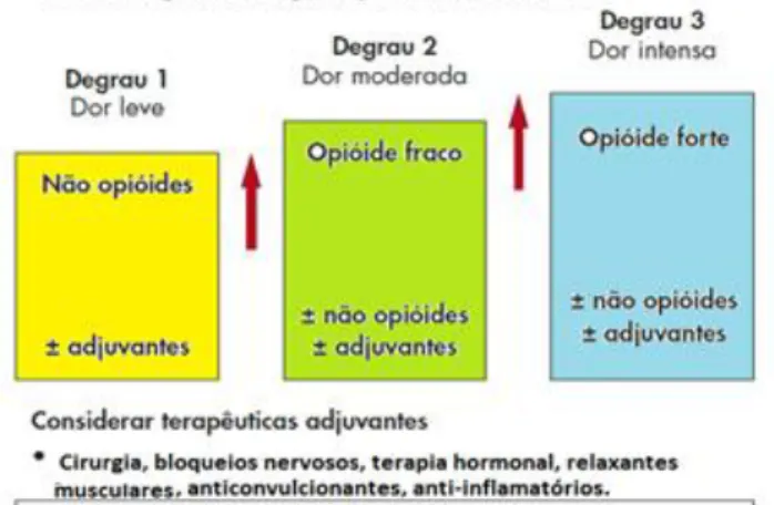Figura nº 5. Escada Analgésica da OMS (adaptado de Gonçalves, et al., 2007). 