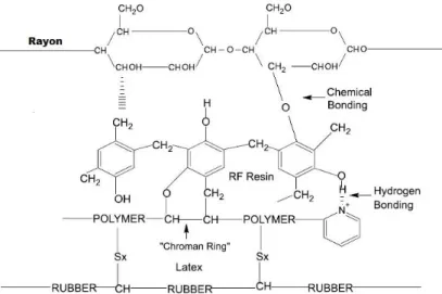 Figure 11 – Schematic representation the adhesion mechanism between Rayon, RF resin,  Latexes and rubber compound (Adapted; (5))