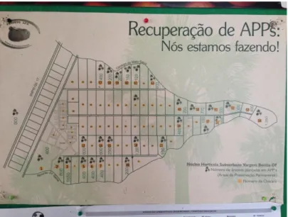 Figura  1.  Mapa  ilustrativo  das  27  chácaras  do  Núcleo  Hortícola  Suburbano  Vargem  Bonita  atendidas  com  mudas do Programa Reflorestar em parceria com o Projeto APA da UnB, em 2008