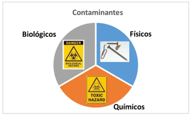 Figura  1.  Os  contaminantes  da  cadeia  alimentar  podem  agrupar-se  em  3  grandes  classes: Biológicos, Físicos e Químicos