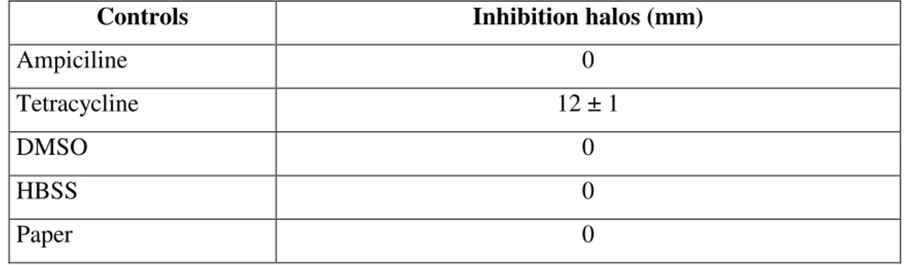 Fig. 5. Marine agar Petri dish with L. anguillarum, control plate after incubation. A) ampiciline,  B) tetracycline, C) HBSS, D) filter paper