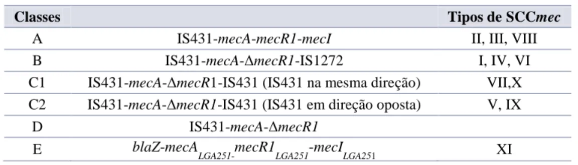 Tabela 1 – Classes descritas do complexo do gene mec (Fonte: IWG-SCC, 2009; IWG-SCC, 2013)