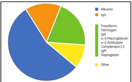 Figure 7 - Relative abundance of different proteins (adapted from [56]).