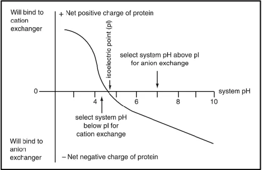 Figure 9 - Representation of the variation of the proteins net charge as function of pH (adapted from  [72]).