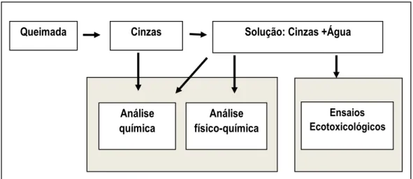 Figura  1  -  Esquema  representativo  do  experimento  integrativo    no  presente  estudo