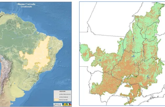 Figura  2  -  Distribuição  do  bioma  Cerrado  original  no  Brasil  e  mapa  do  bioma  Cerrado  contendo  a  distribuição  espacial  das  áreas  com  vegetação  (verde),  desmatamento acumulado até 2008 (marrom)