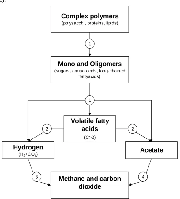 Figure 2.1: Anaerobic digestion process (modified) (Ahring, 2003). 