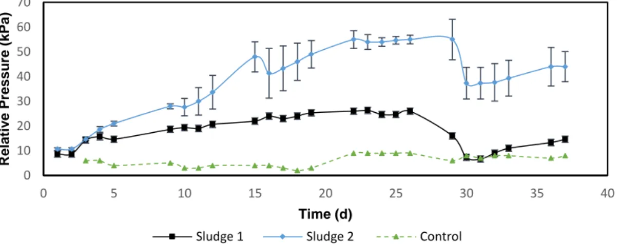 Table 4.4: Area of relevant peaks identified on the chromatograms from High- High-Pressure  Liquid  Chromatography,  using  organic  acids  column  to  separate  compounds  in  the  supernatant  inoculated  with  consortium  from  sludge-1  and  sludge-2, 