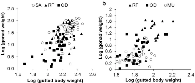 Fig. 5. Relationship between gonad weight and gutted body weight before spawning in (a) H
