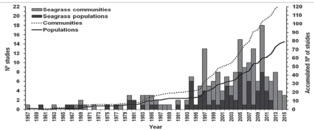 Figure 2. Number of yearly publications (articles, thesis, dissertations, book chapters) containing information about Brazilian seagrass habitats, 