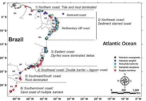 Figure 4. Distribution of the seagrass habitats and species along the coast of Brazil based upon all the existent records, in each coastal compartment