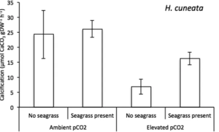 Table 1.  ANOVA results showing (1) the effect of elevated CO 2  and seagrass presence on the calcification and  gross primary production (GPP) for H
