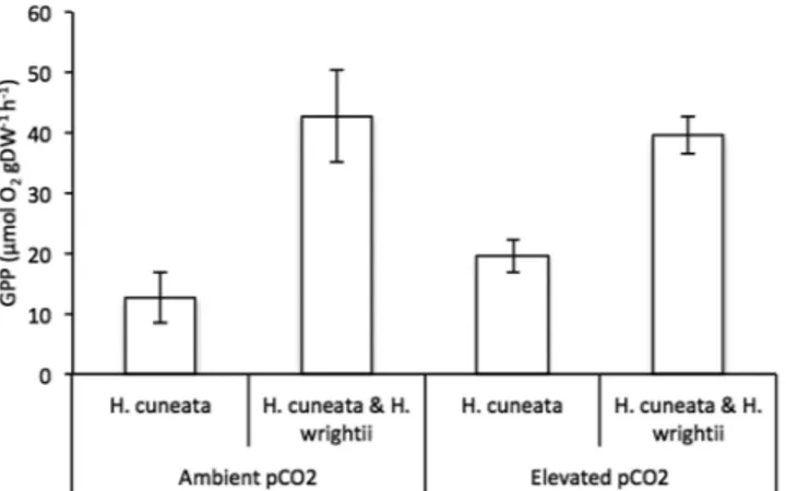 Table 2.  Mean values of calcification, gross primary production (GPP) and the changes in bicarbonate 