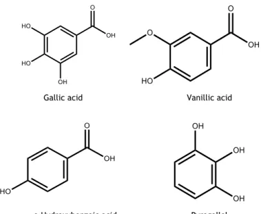 Figure 2. Hydroxybenzoic acids present in stems of P. avium. 