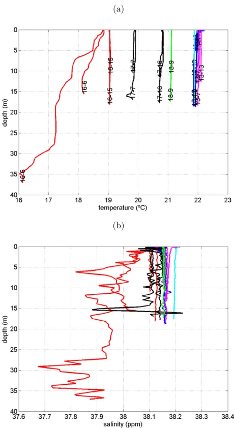 Figure 3.4: Temperature (a) and salinity (b) data from CTD. The text label indicates the day-hour (GMT) of a profile.