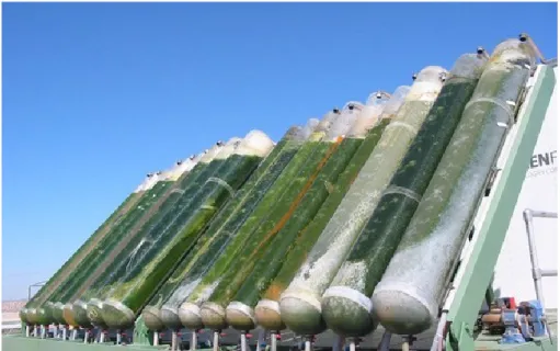 Figure 1.9 Biodiesel production by microalgae – closed system bioreactor. Source: 