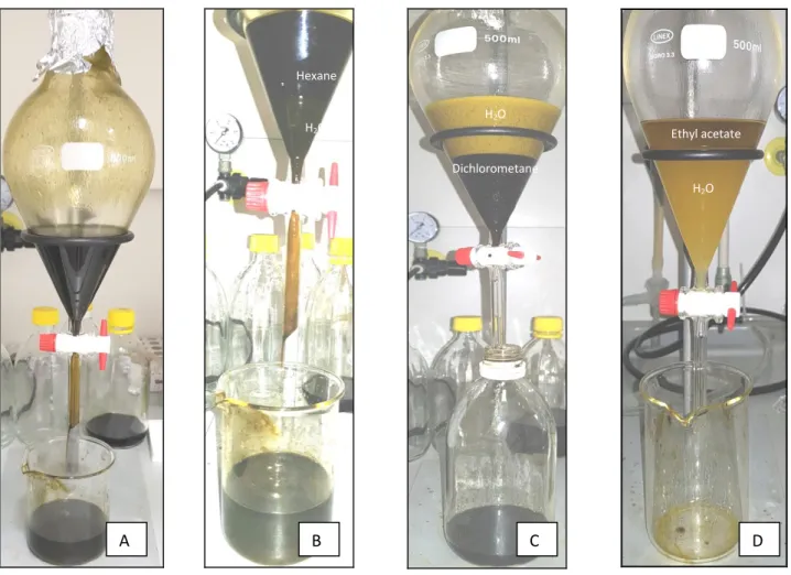 Figure 7. Liquid-liquid extraction (LLE) of Phaeodactylum tricornutum ethanol extract