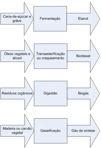 Figura 1.1: Processos de transformação de biomassa atuais