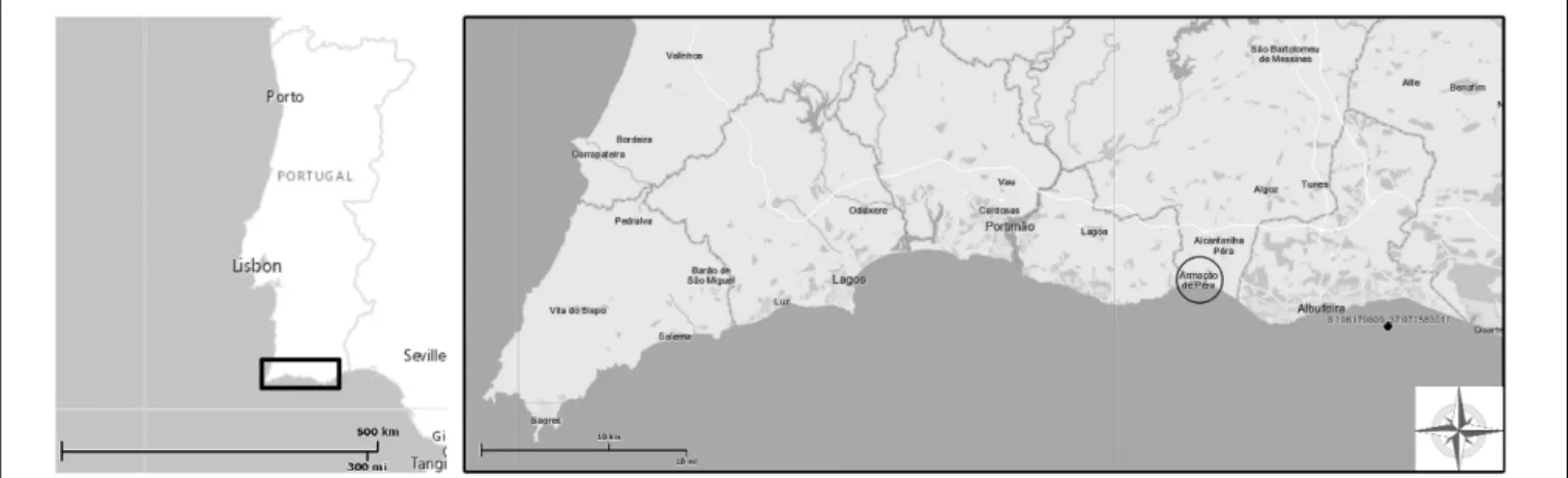 FIGURE 1 | Study site location (SW Iberian Peninsula) in Armação de Pêra Bay, southern Portugal