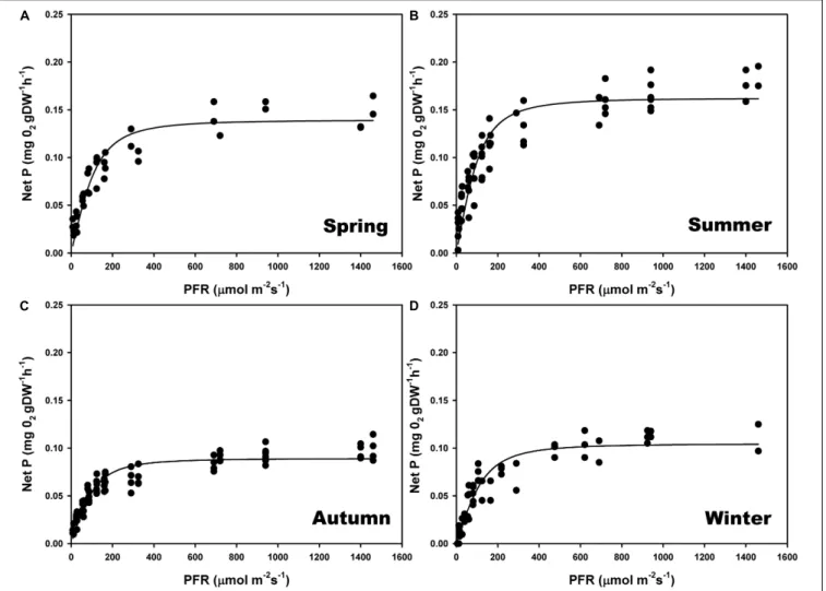 FIGURE 4 | Seasonal photosynthesis–irradiance (P–E) curves, determined on individual thalli of P