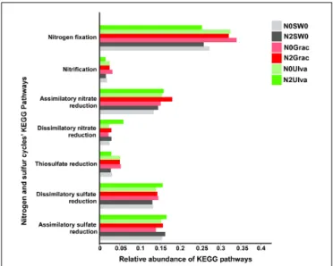 FIGURE 6 | Relative abundance of nitrogen and sulfur cycles KEGG pathways for each treatment (with samples from the same treatment pooled together).