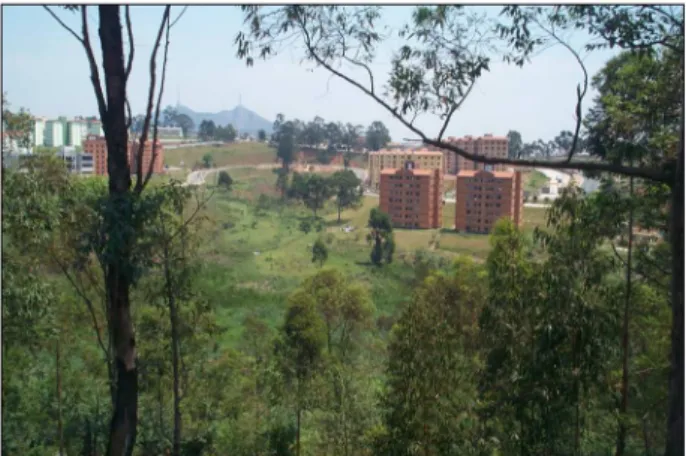 Figure 6 - Buildings of Sao Paulo State’s Urban Housing Development  Company within the Pinheirinho d’Água Park  