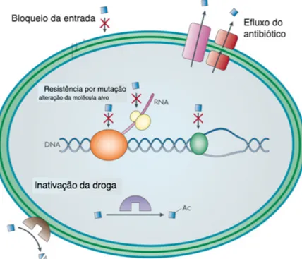 Figura 3. Mecanismos de resistência bacteriana aos agentes antimicrobianos. Adaptado de (Allen  et al., 2010)