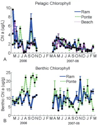 Fig. 7 Seasonal changes of Dissolved Oxygen (% saturation) at Ram- Ram-alhete, Ponte and Beach during 2006 and 2007–08.