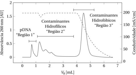 Figura 3.4: Perfil cromatográfico típico de um lisado alcalino, obtido com o método de HIC desenvolvido por Diogo et al [88]
