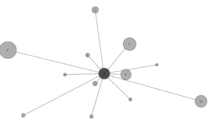 Figure 4. Egocentric network of an author allowing conclusions on the role of co-authors using Pajek with Kamada-Kawai layout.