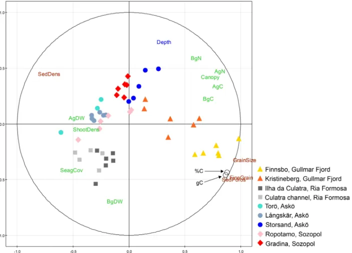 Fig 7. Principal component analysis (PCA) showing the nine seagrass sites, the two response variables (sedimentary % C org