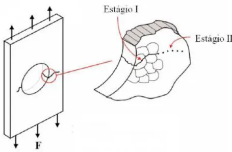 Figura 2.2. Estágios de propagação da trinca por fadiga (modificado de Fadel, 2010). 
