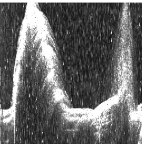 Fig. 2.1 – Imagem “topas”, original do projecto ISACS. 