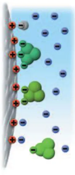 Figure 4. Separation principles in ion exchange chromatography (adapted from [41])