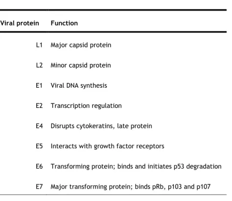 Table 1 - A summary of the HPV ORFs (adapted from [14]). 
