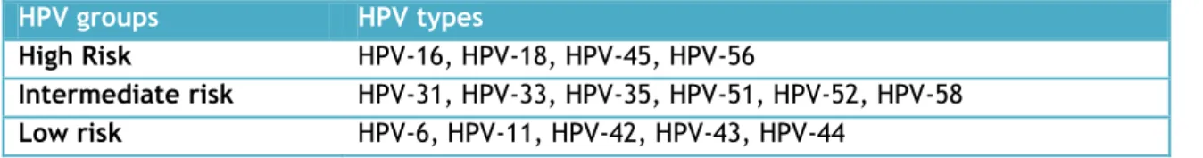 Table 1. Human papillomavirus grouping, according to their risk to cause cervical cancer (adapted from  [18])
