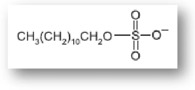 Figure 1 – Structure of an ionic detergent type, Sodium Dodecyl Sulfate (SDS) (adapted from [7])