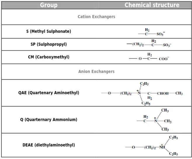 Table 1 - Groups of ion exchangers used for the isolation of proteins (adapted from [21])
