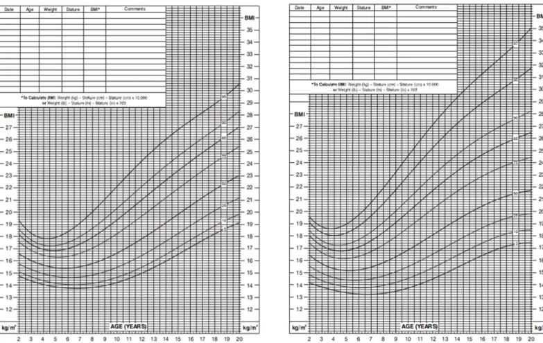 Figure 1  –  Percentile table of BMI for age (2 to 20 years) and  sex (male)